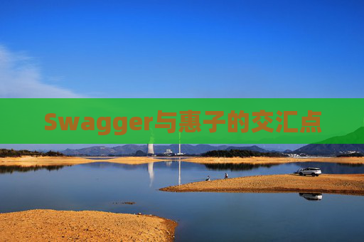 Swagger与惠子的交汇点
